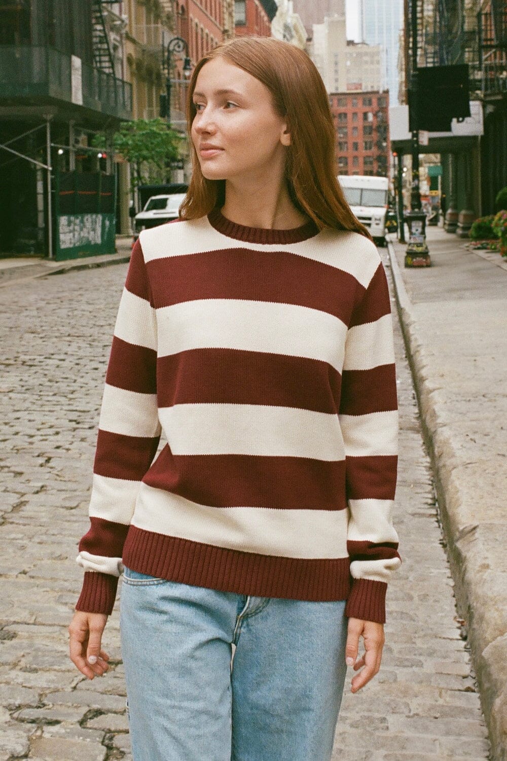 Burgundy Ivory Thick Stripes / Regular Fit